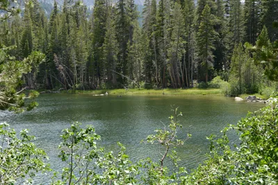 DSC_3228 (Large).JPG